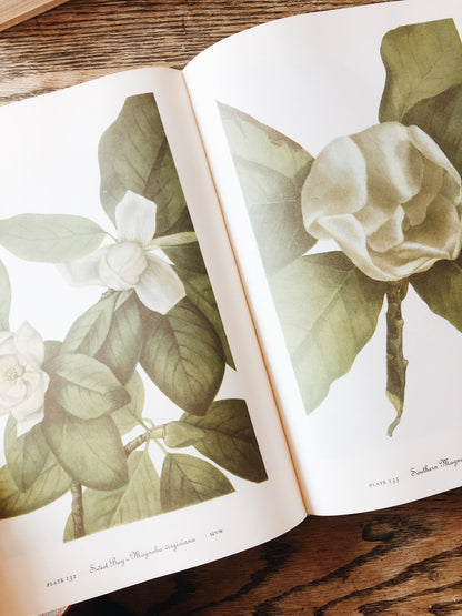 Vintage Wildflowers of America Book