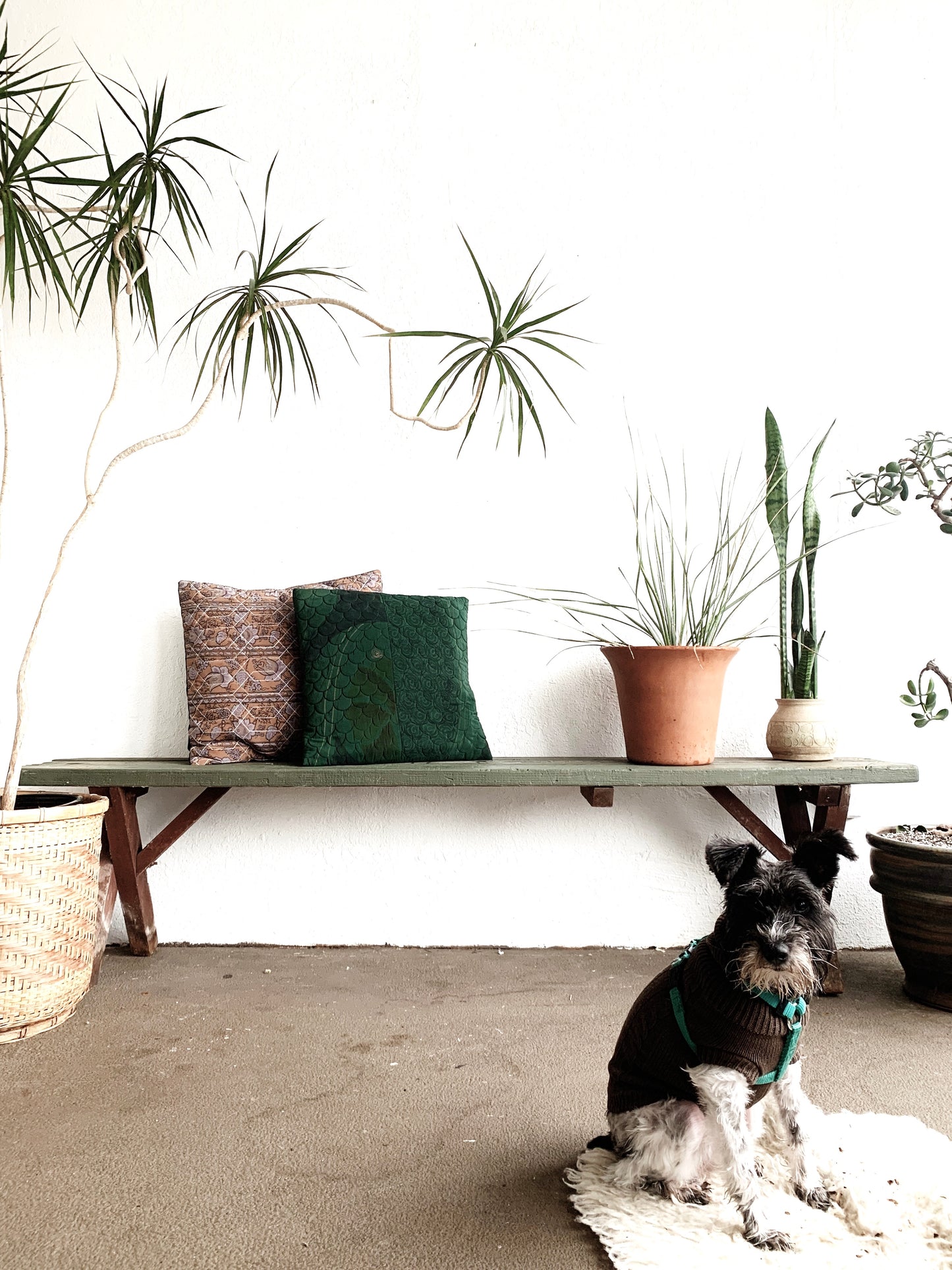 Long Vintage Wood Picnic Bench