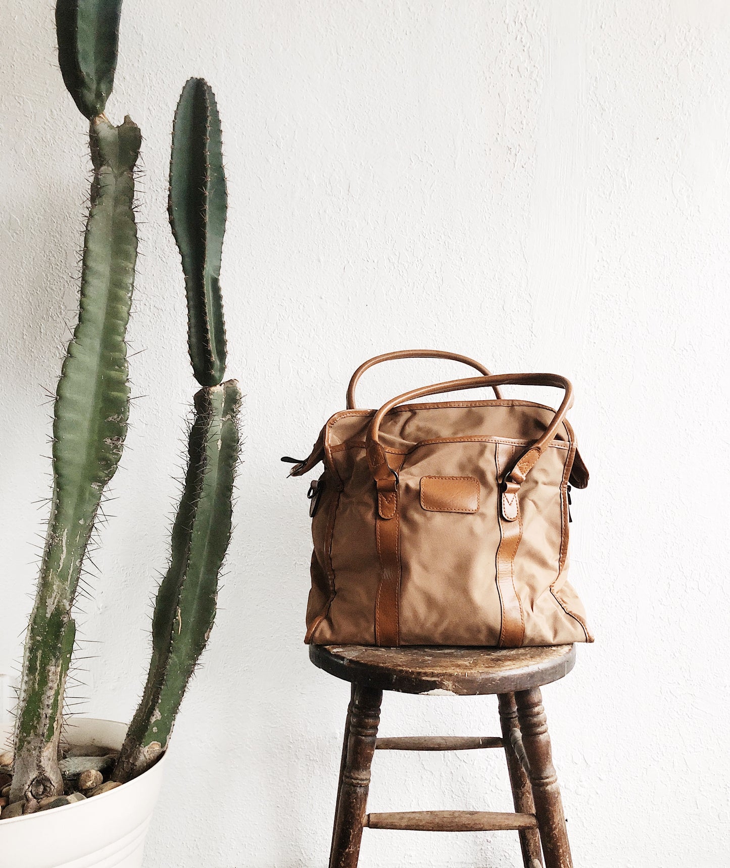 Vintage Ganson Carry On