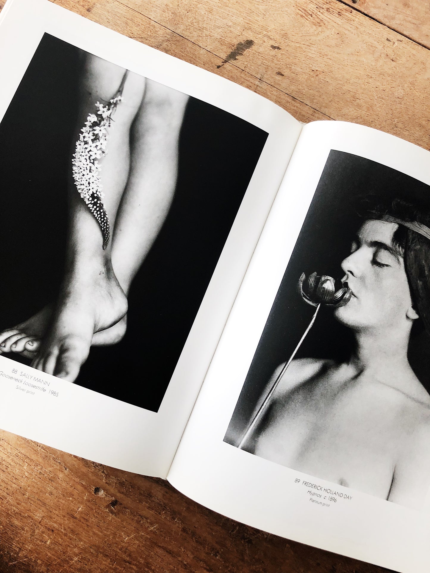 Flora Photographica Vintage Art Book