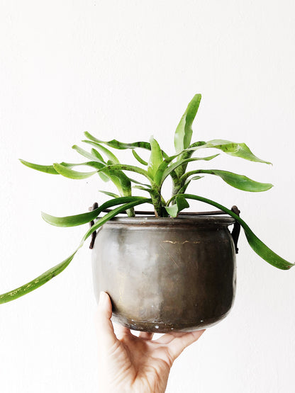 Vintage Aged Copper Pail