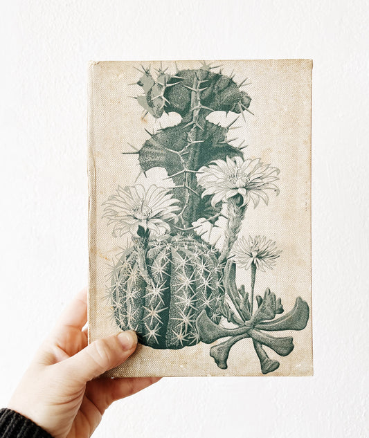Vintage Cactus Book