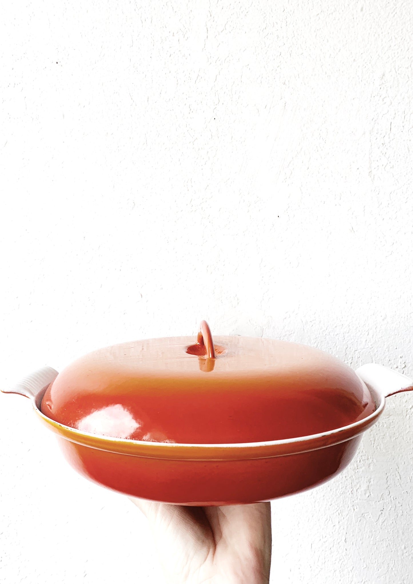 Mid Century Descoware Porcelain Coated Cast Iron Lidded skillet