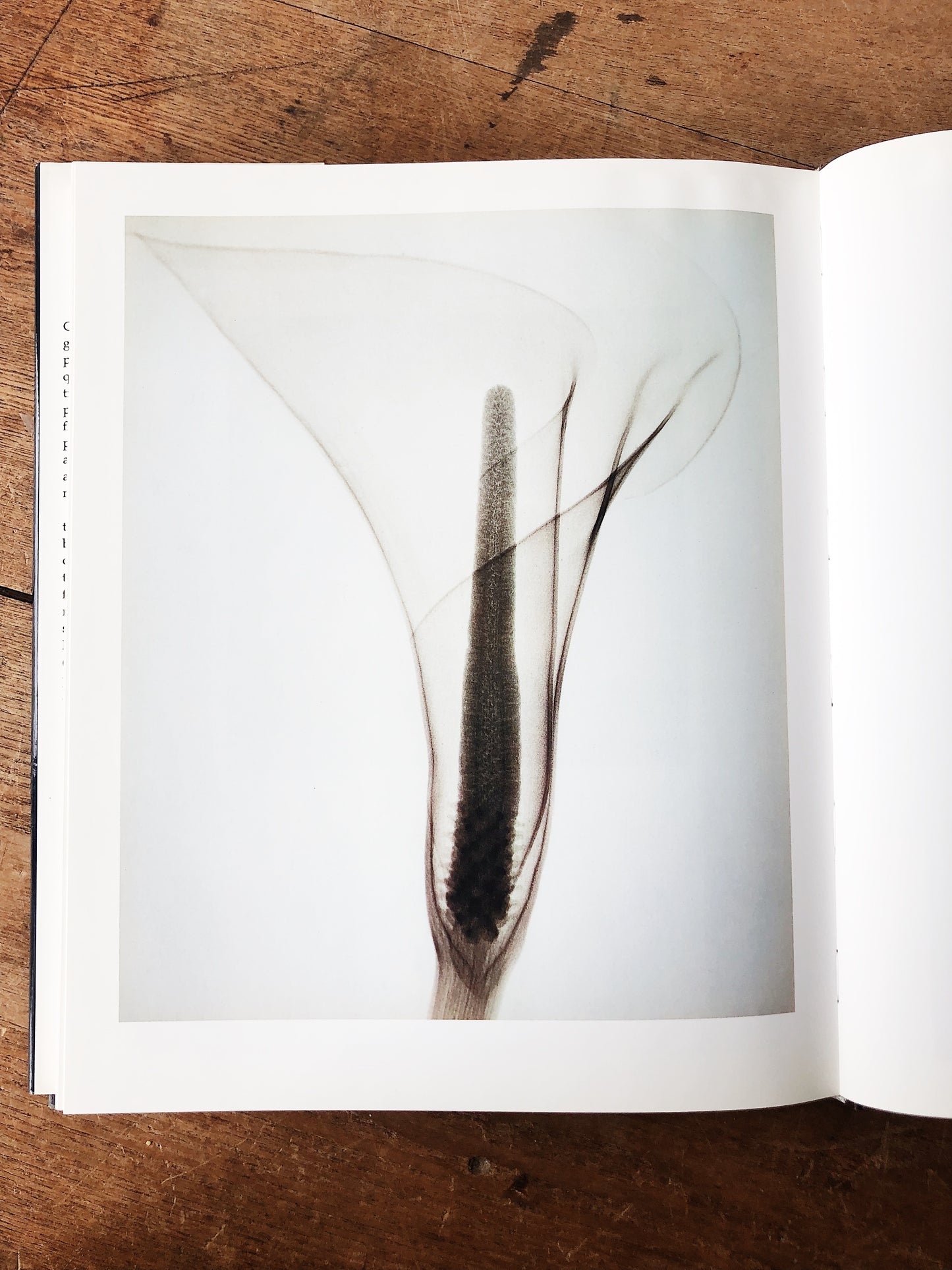 Flora Photographica Vintage Art Book