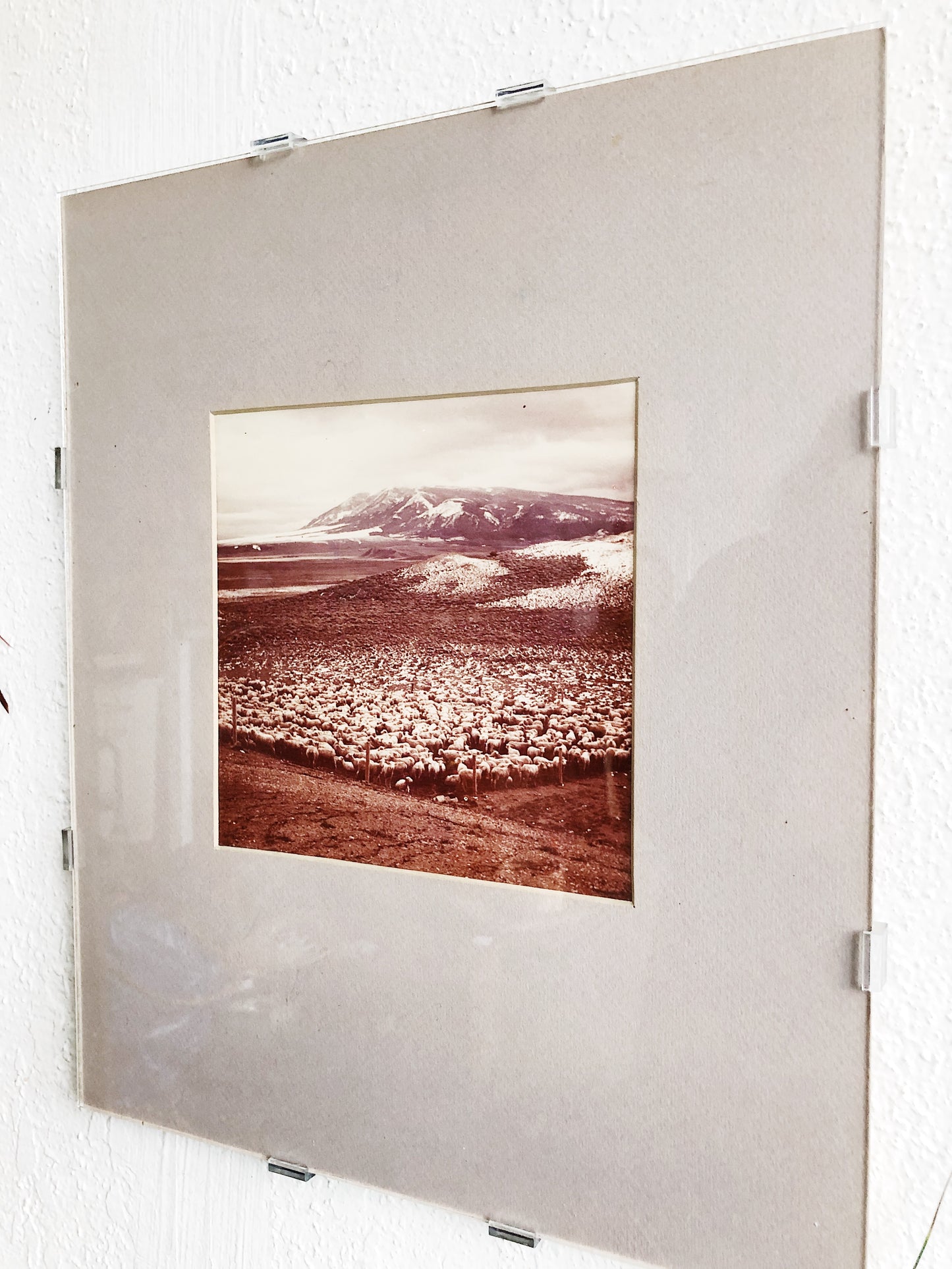 Vintage Icelandic Film Photo