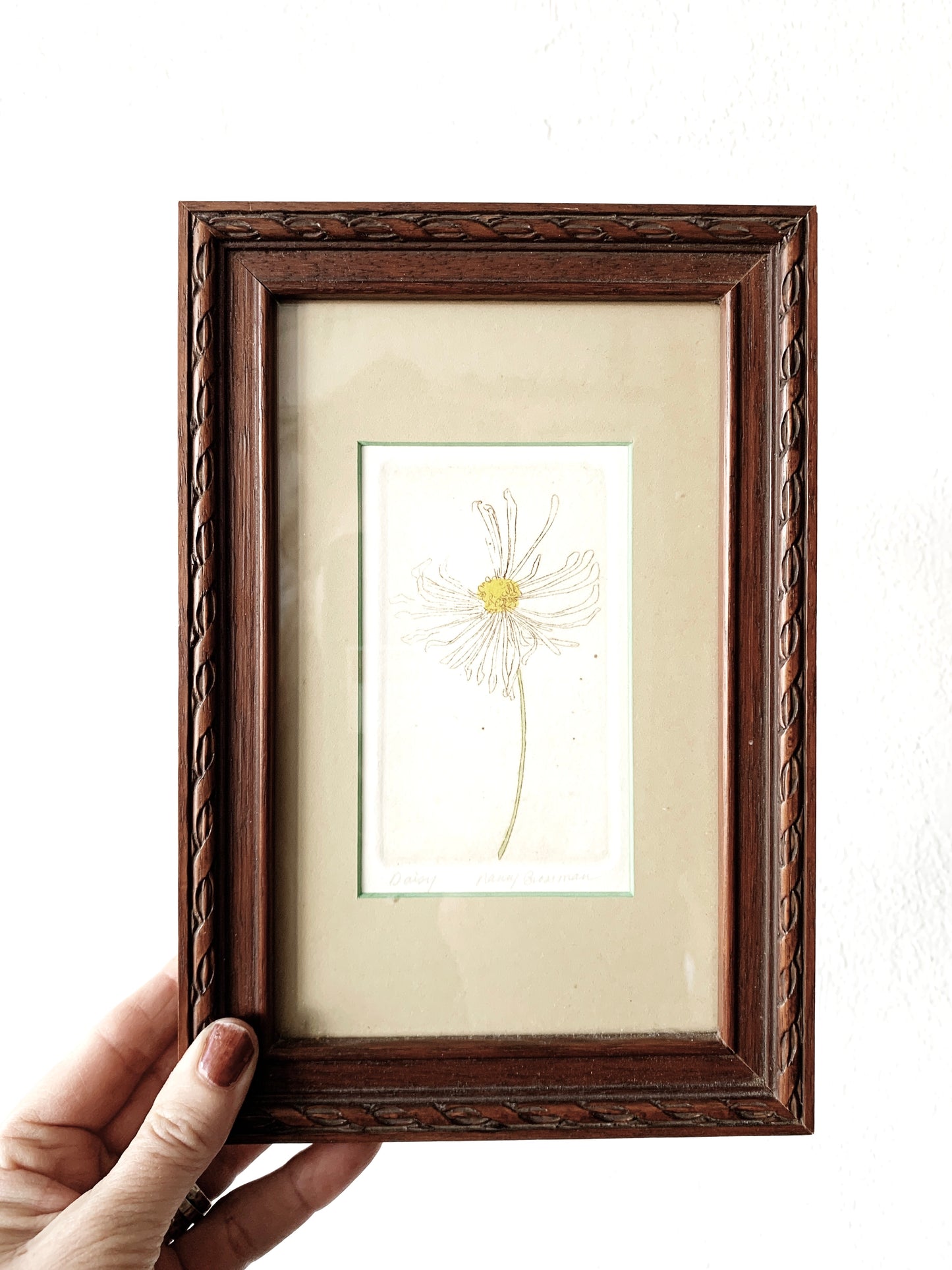 Vintage Framed Daisy Etching