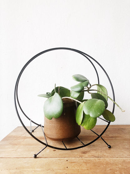 Hoya Kerrii in Vintage Stoneware