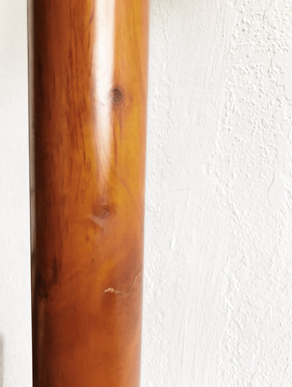 Mid Century Floor Lamp