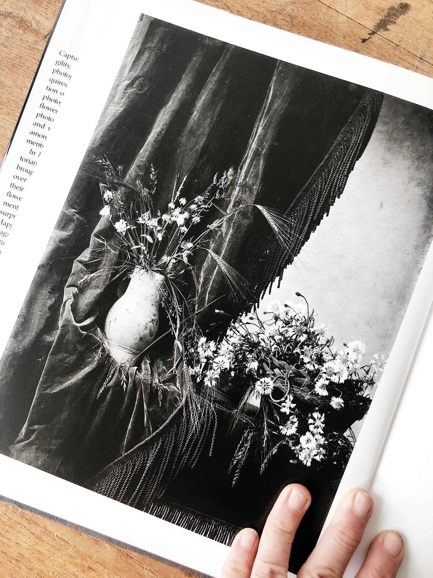 Flora Photographica Vintage Art Book