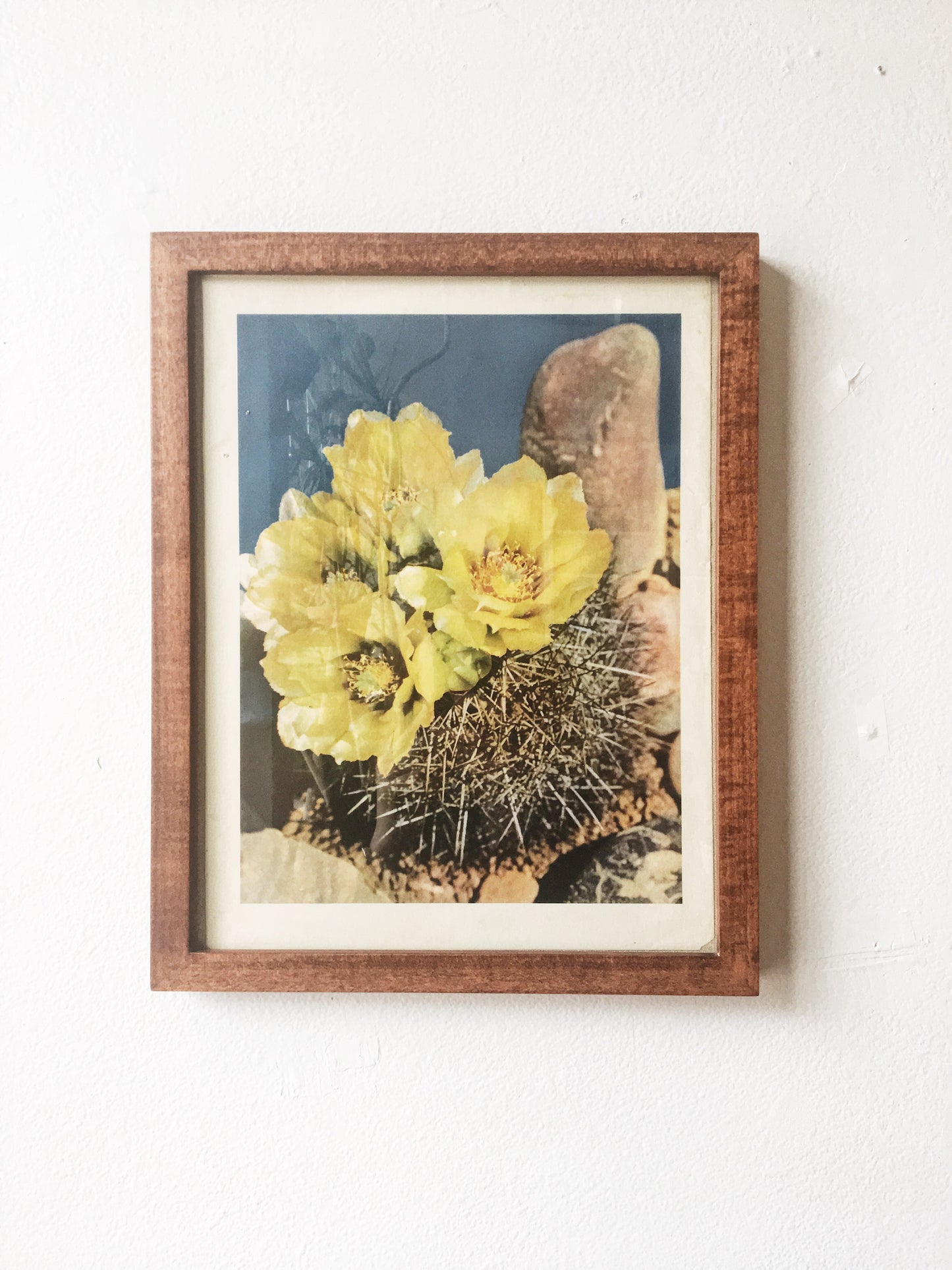 Vintage Framed Print