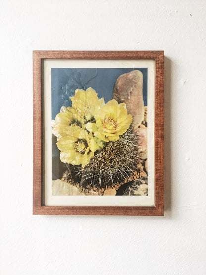 Vintage Framed Print