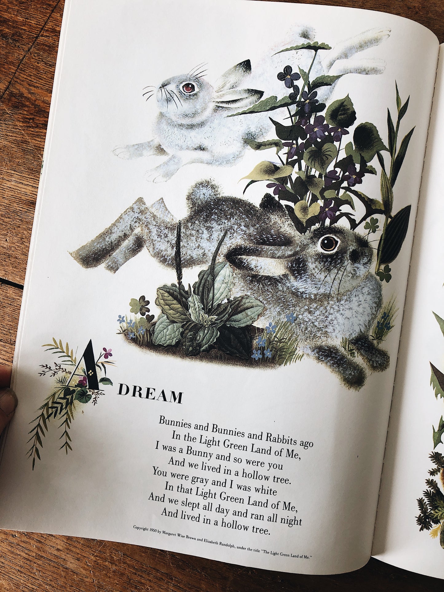 Vintage Children’s Book