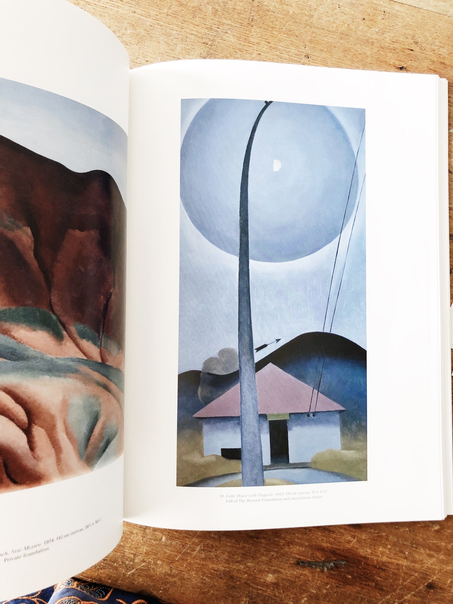Georgia O’Keeffe Museum Art Book