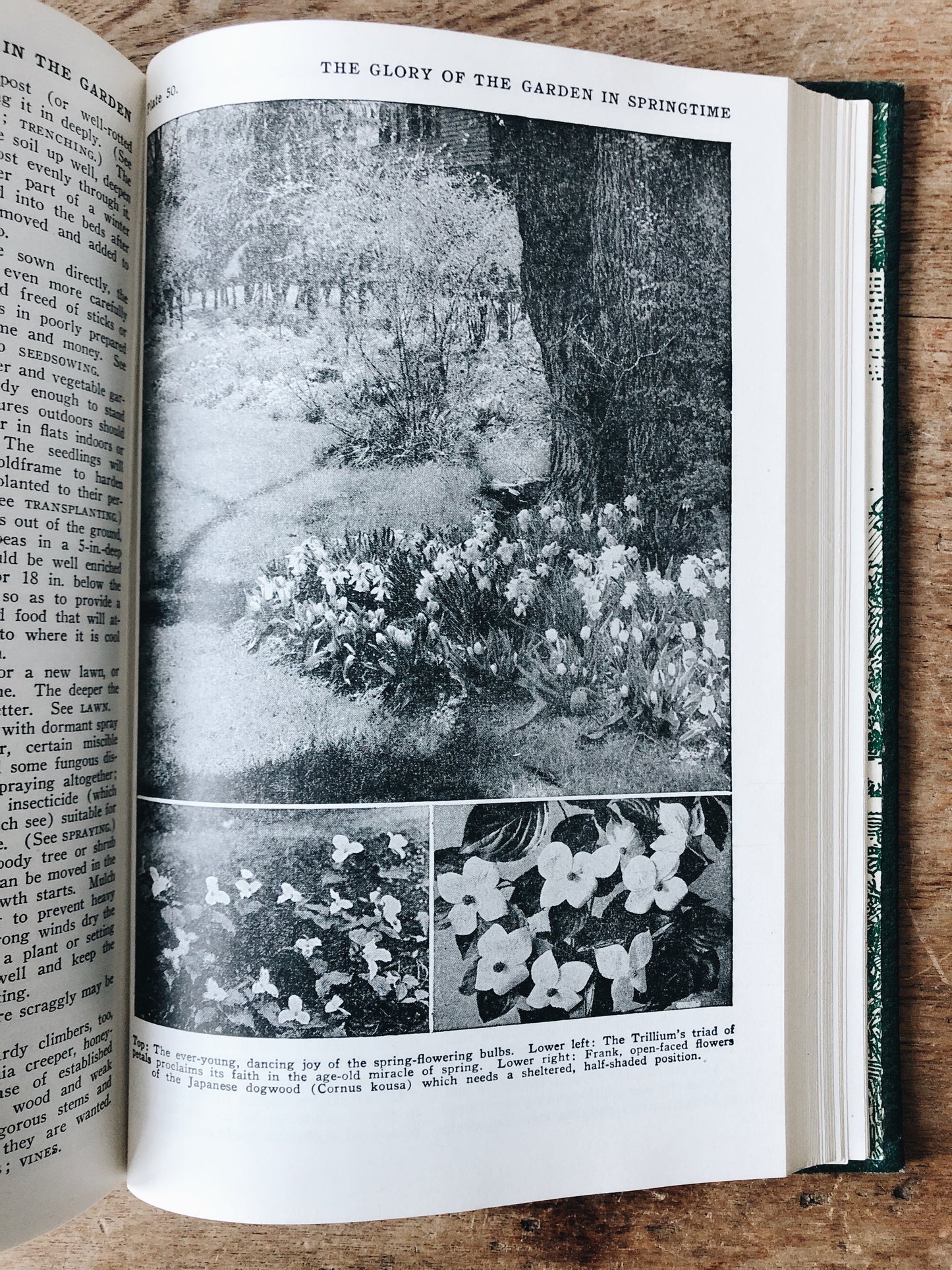 Vintage 1930s Leatherbound Gardening Encyclopedia