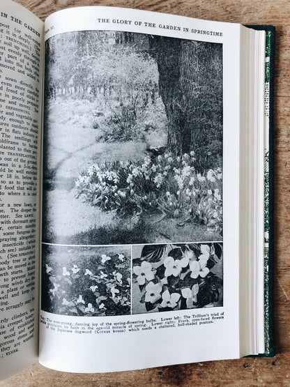 Vintage 1930s Leatherbound Gardening Encyclopedia