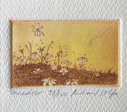 Original Vintage Framed Etching