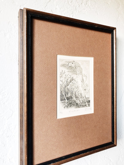 Original Wild Horse Etching