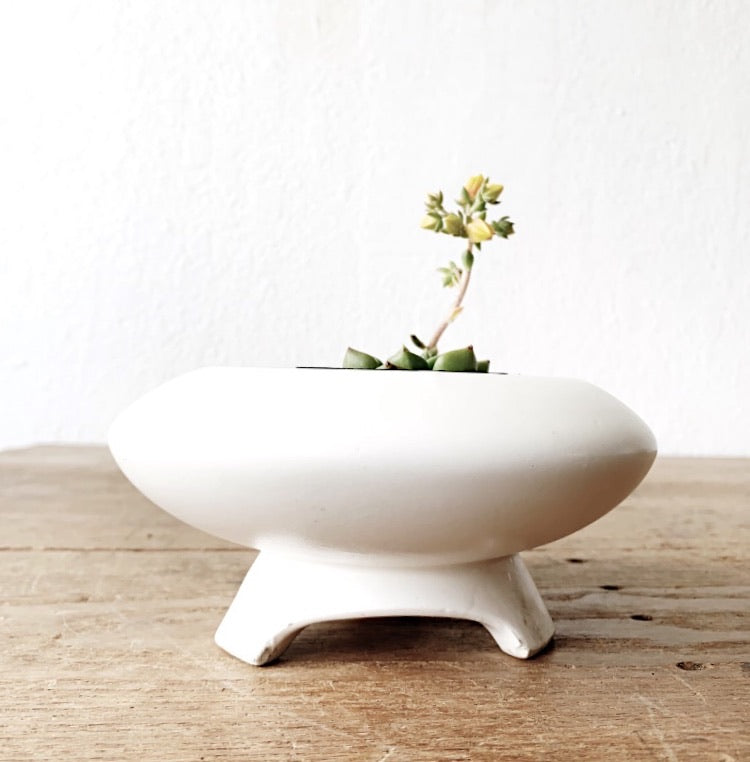 Rare Vintage Rubens Planter 1963