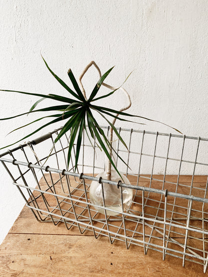 Large Industrial Metal Basket