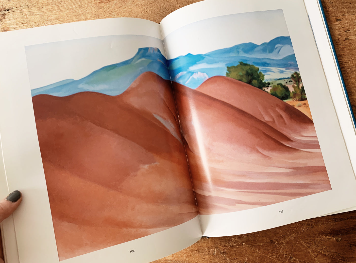 Vintage Georgia O’Keeffe Hardcover Art Book