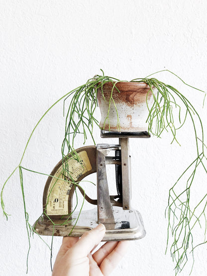 Vintage Postal Scale