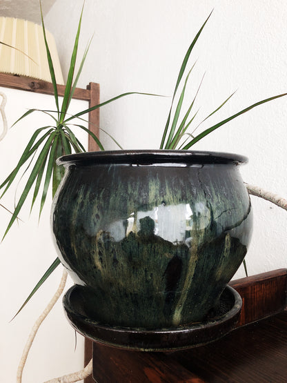 Scindapsus Pictus in Vintage Ceramic