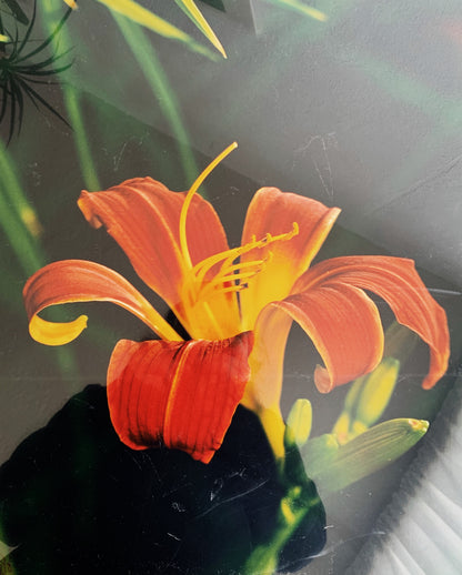 Vintage Enlarged Matted Photo