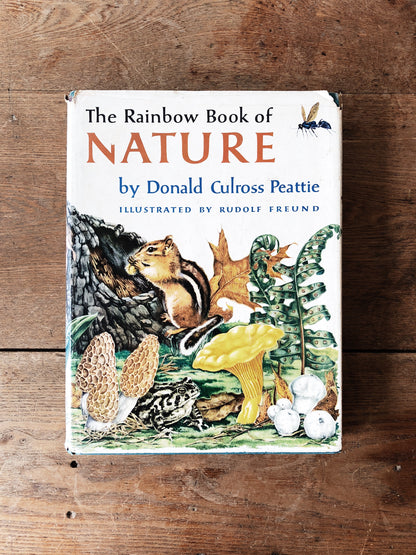 Vintage Rainbow Book of Nature