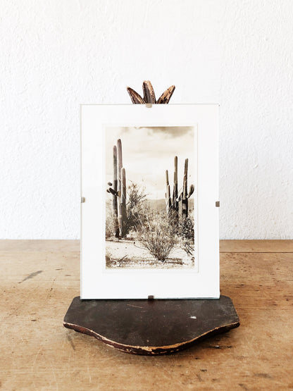 Antique Framed Desert Postcard