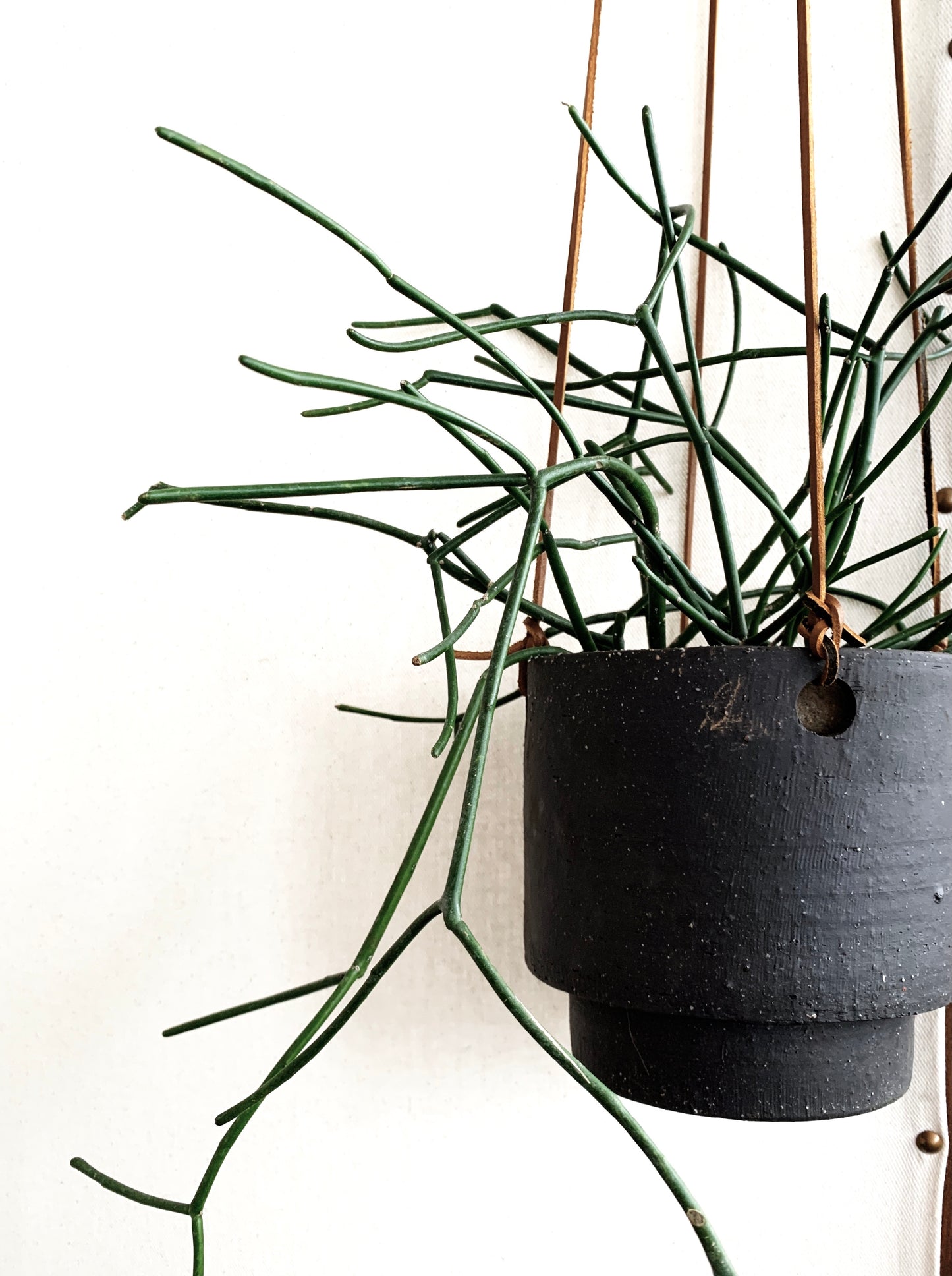 RESERVED Hanging Pot