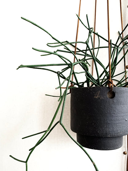 RESERVED Hanging Pot