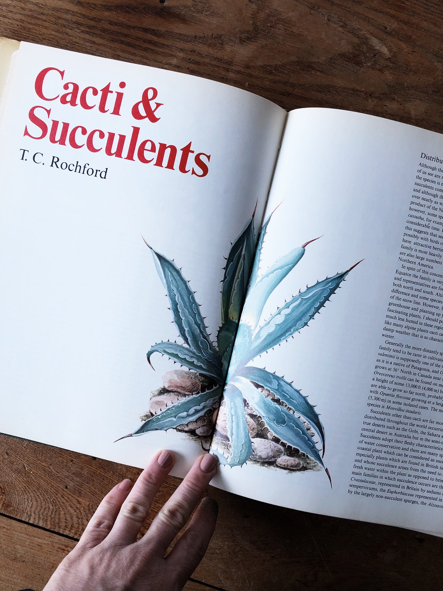 Vintage Houseplant and Cacti Book