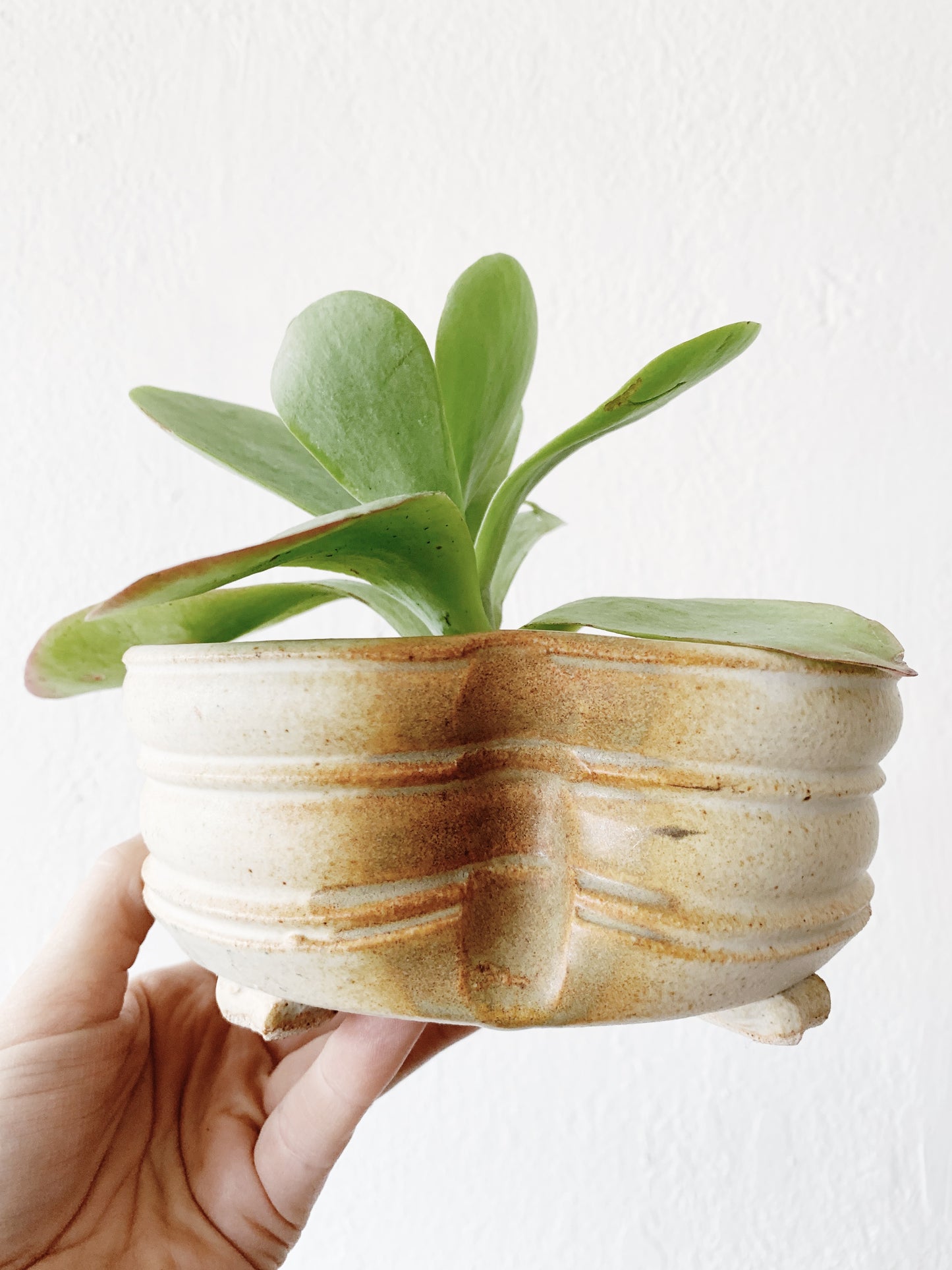 Studio Pottery