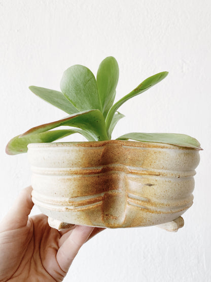 Studio Pottery