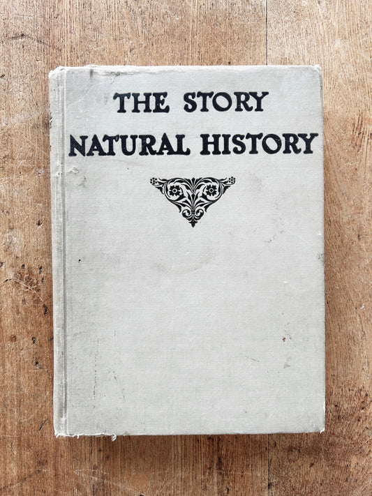 Antique Natural History Book