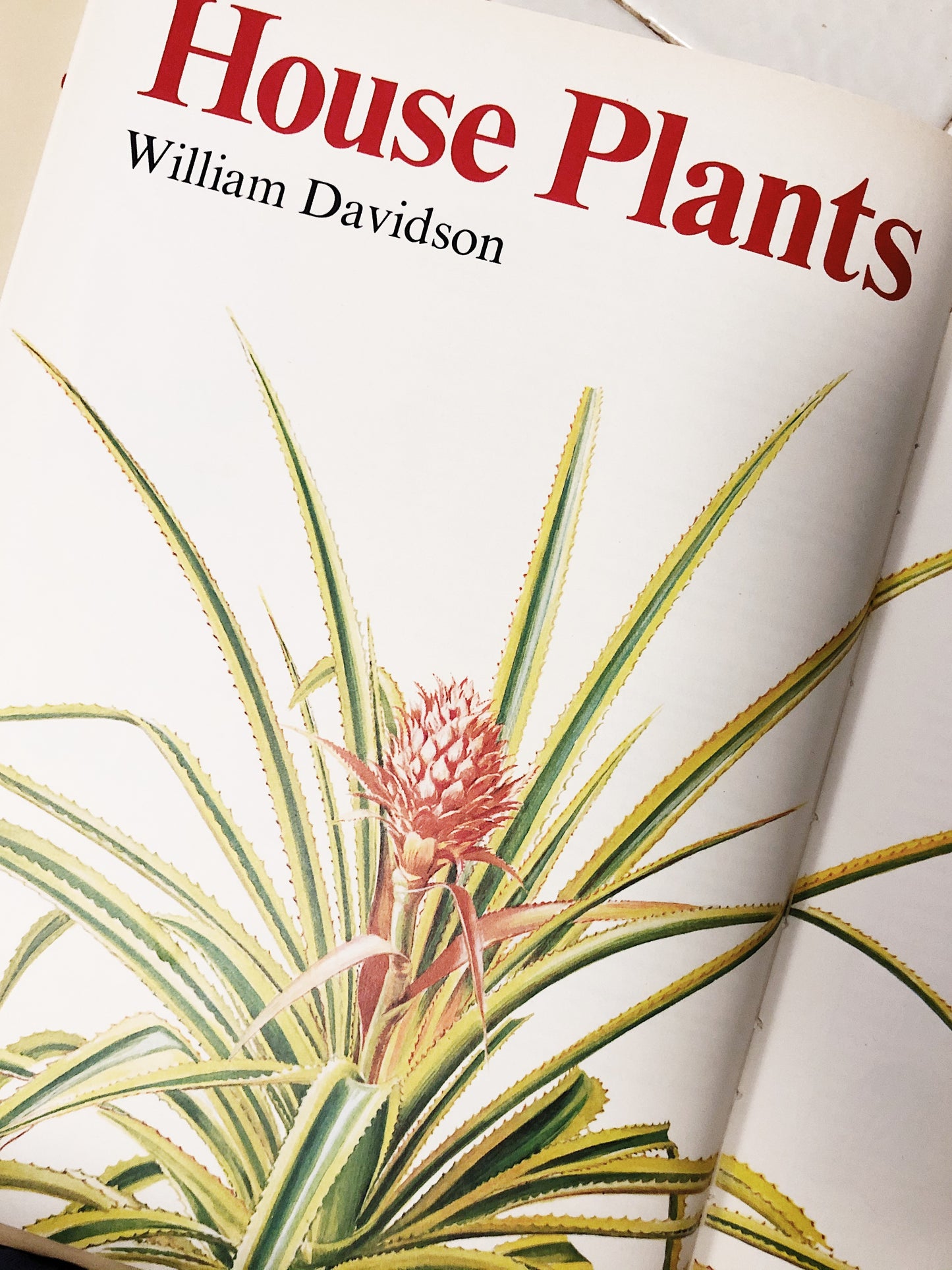 Vintage Houseplant and Cacti Book