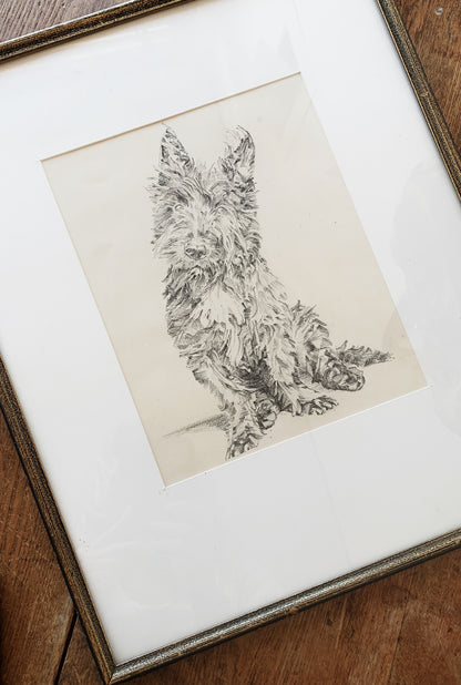 Original Framed Charcoal Sketch / Terrier Portrait