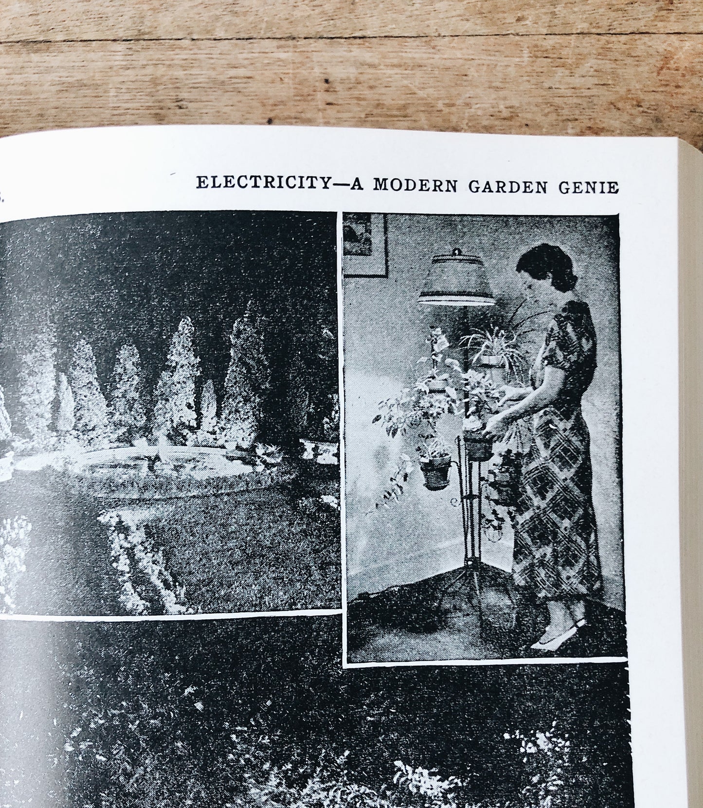 Vintage 1930s Leatherbound Gardening Encyclopedia