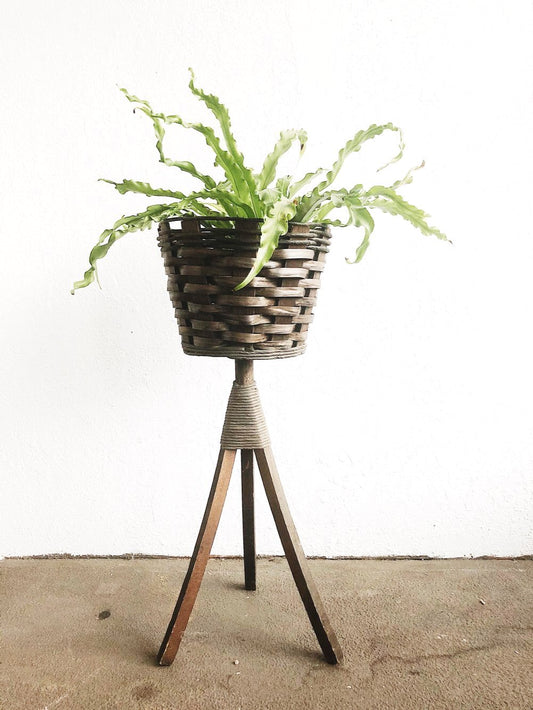 Vintage Woven Plant Stand