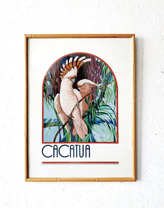 Vintage Framed Cacatua Print