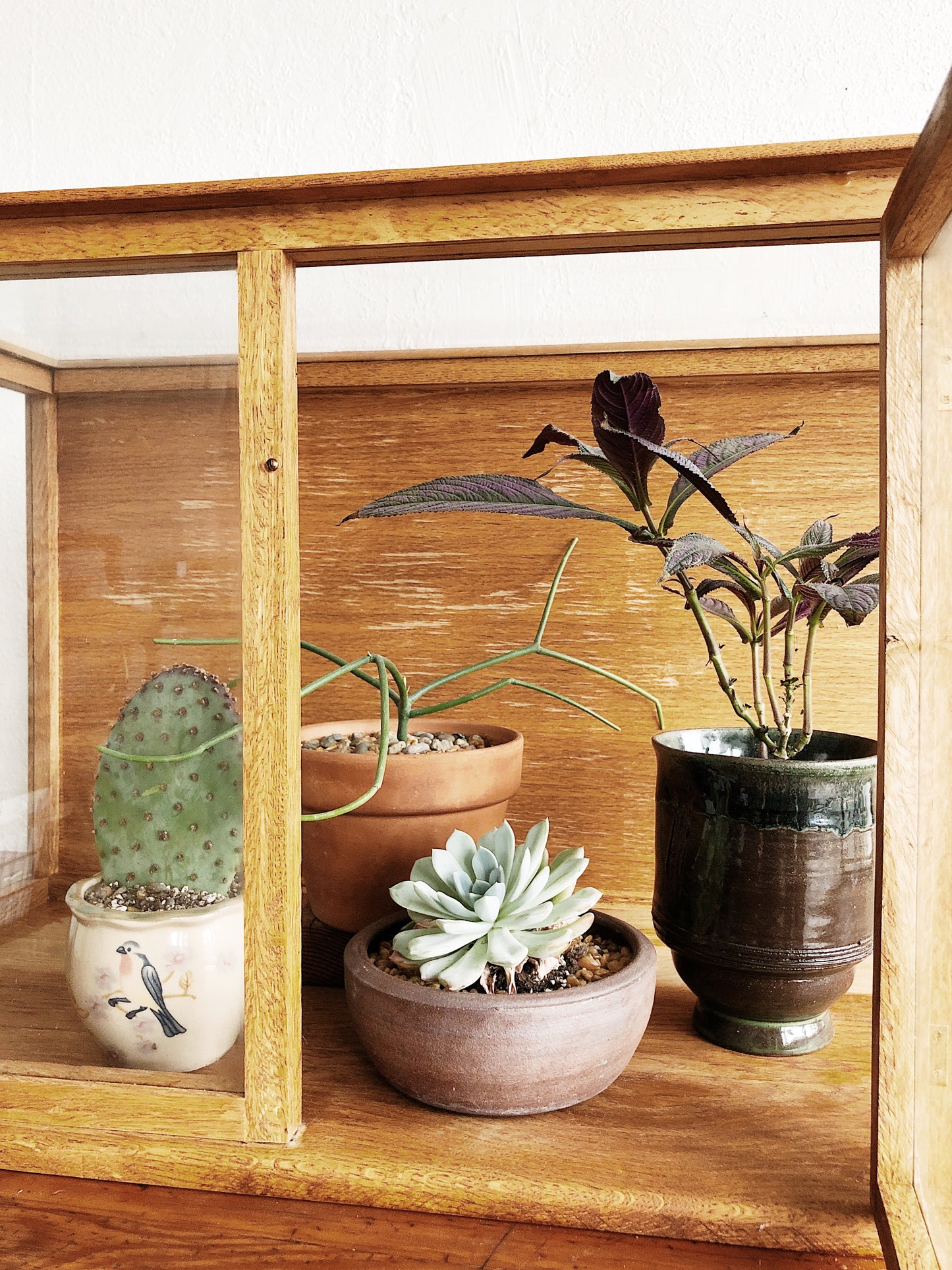 Vintage Glass and Wood Display Case