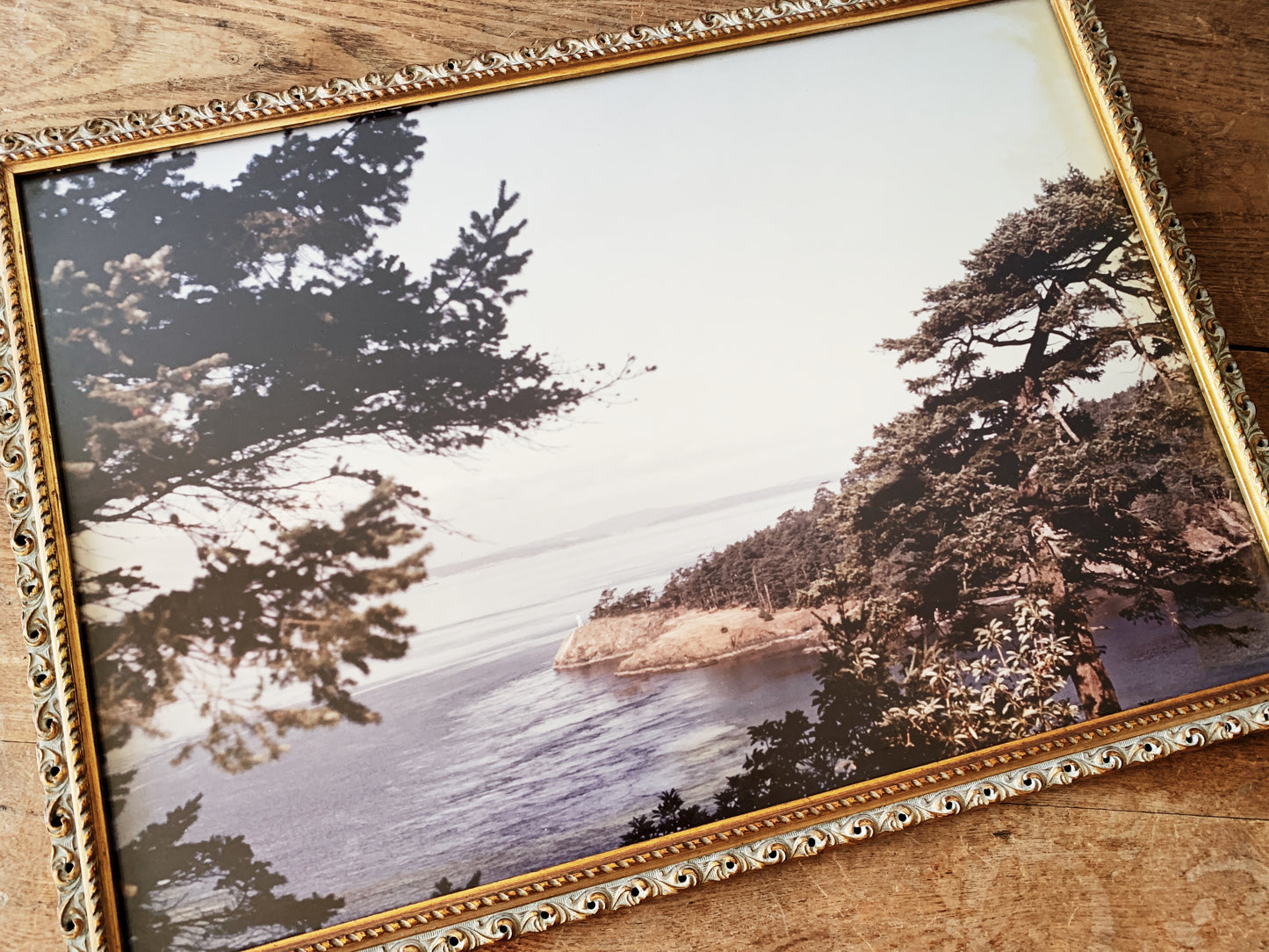 Large Vintage Framed Coastal Photograph