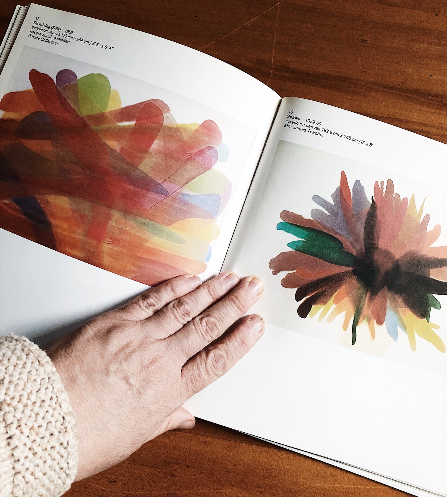 Vintage Morris Louis Retrospective Art Book
