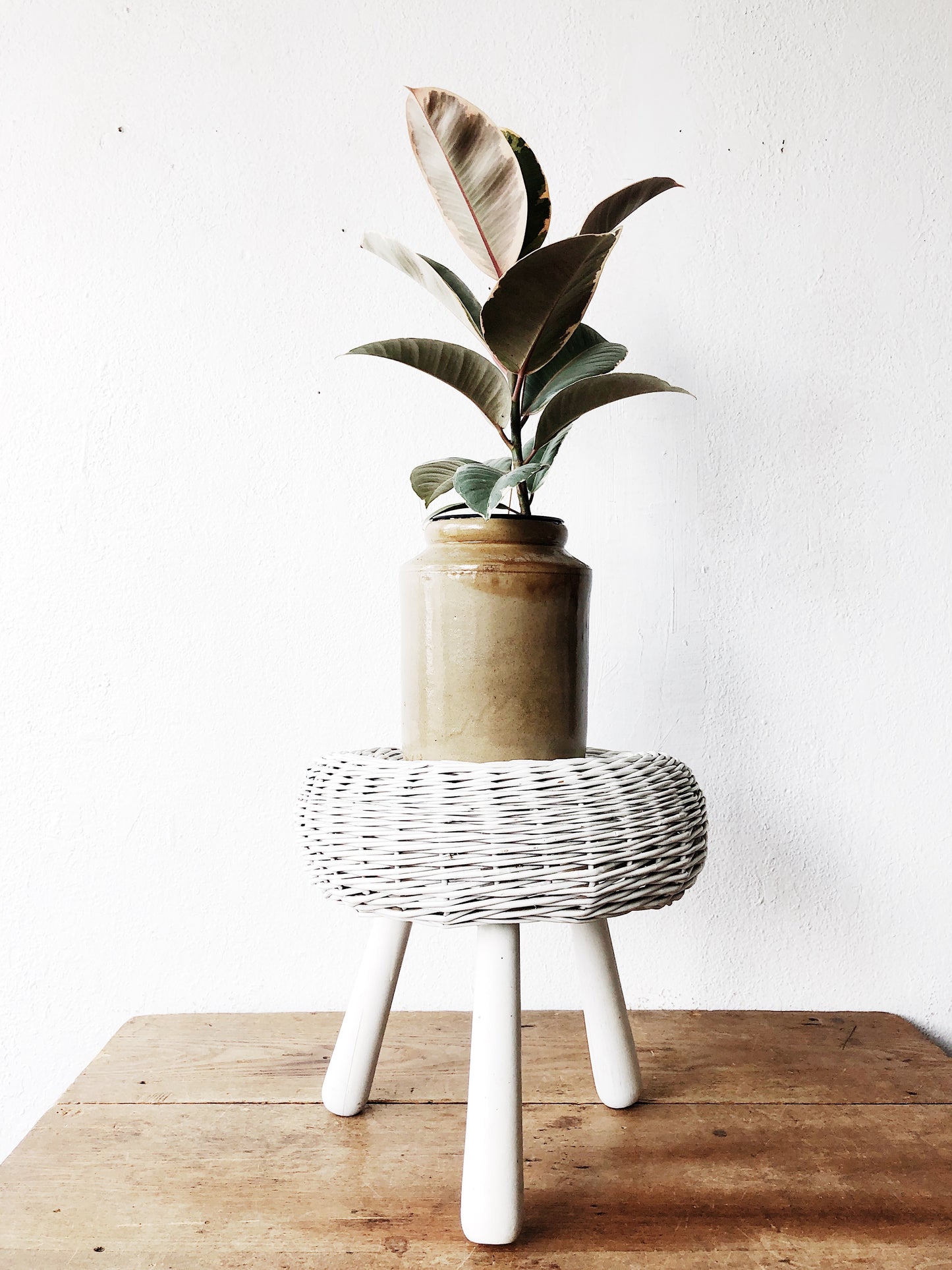 Vintage Albini Style Stool