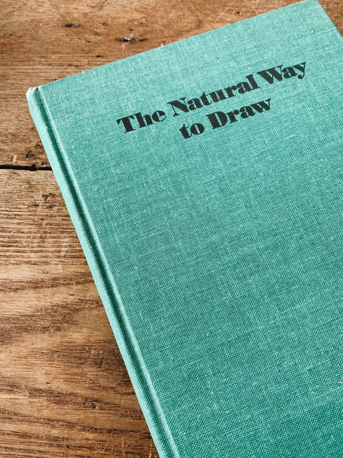 Vintage Drawing Book Nicolaides