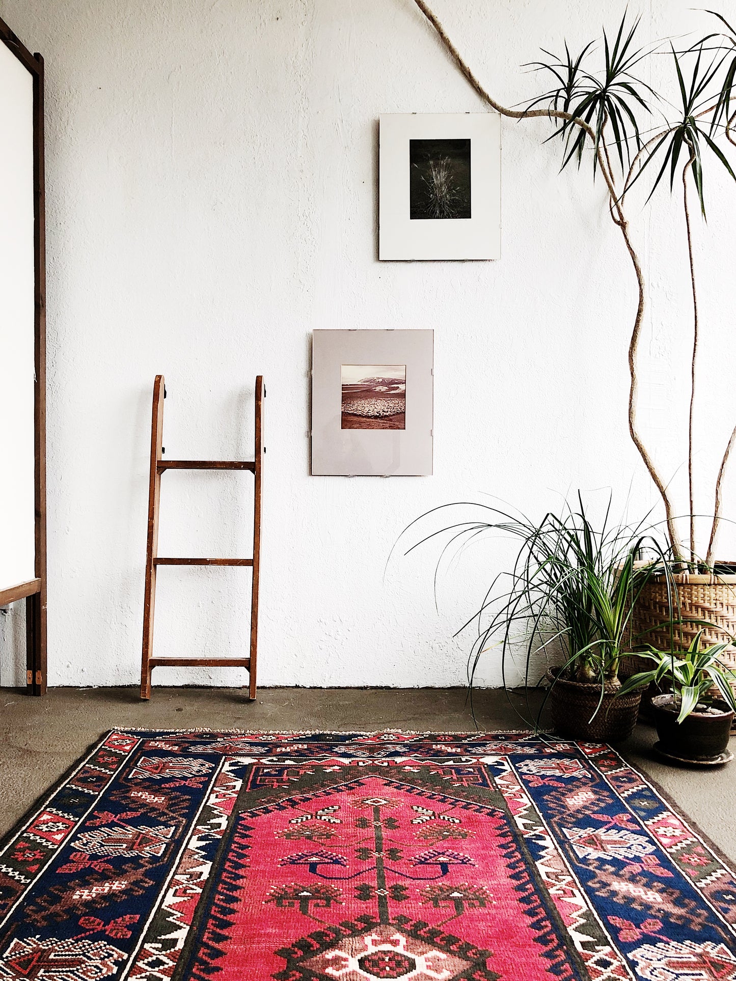 Vintage Icelandic Film Photo