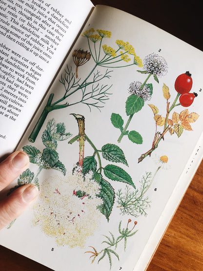 Vintage 1970s Plantcraft Book