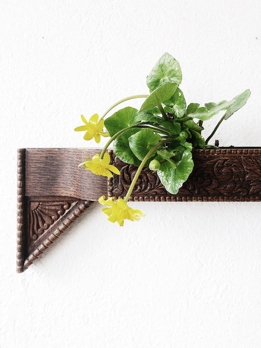 Antique Victorian Shelf