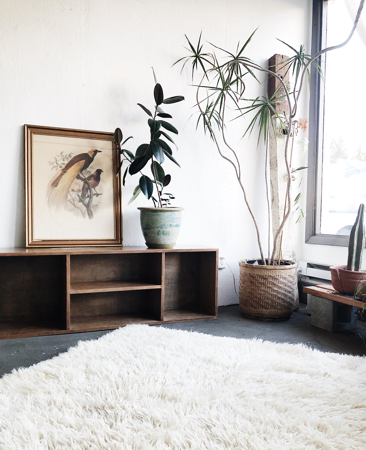 Fab Walnut Low Shelf