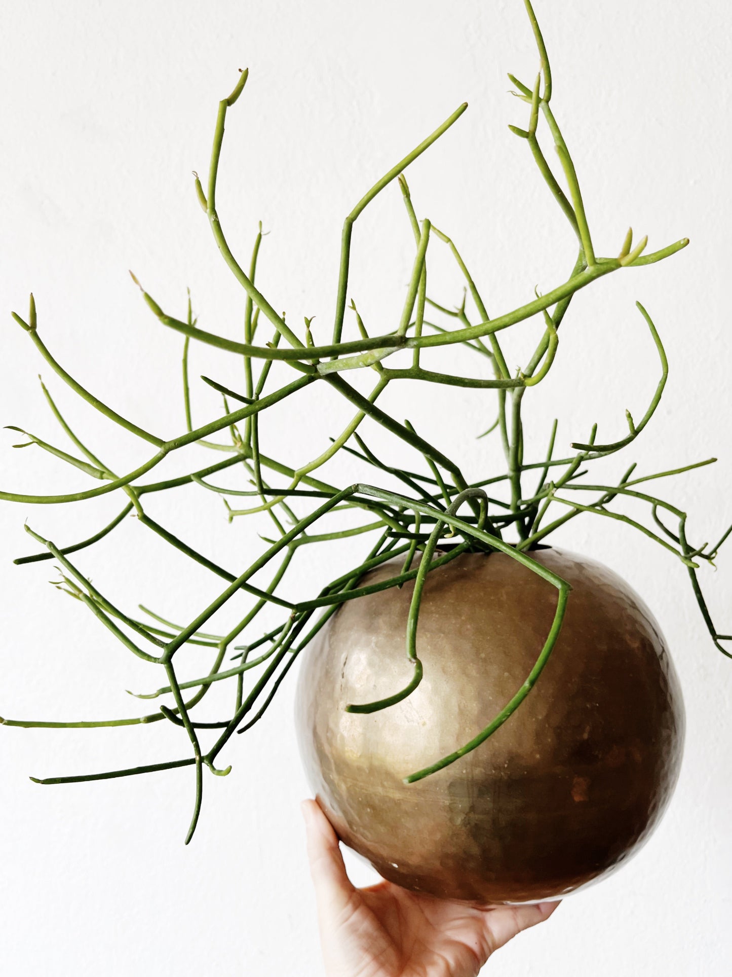 Vintage Hammered Brass Orb Vase